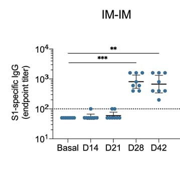 Figure adapted from Ponce-de-León et al., npj Vaccines, 2023.