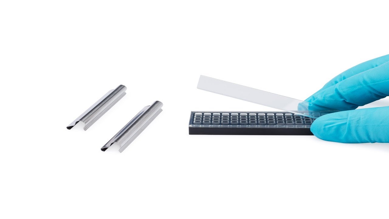 youtube placeholder image