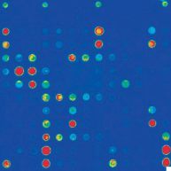 Microarray analysis - CMYK