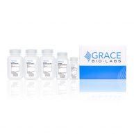 PATH Protein Microarray Kit_105502