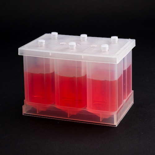 6-Well Plate | 82mL