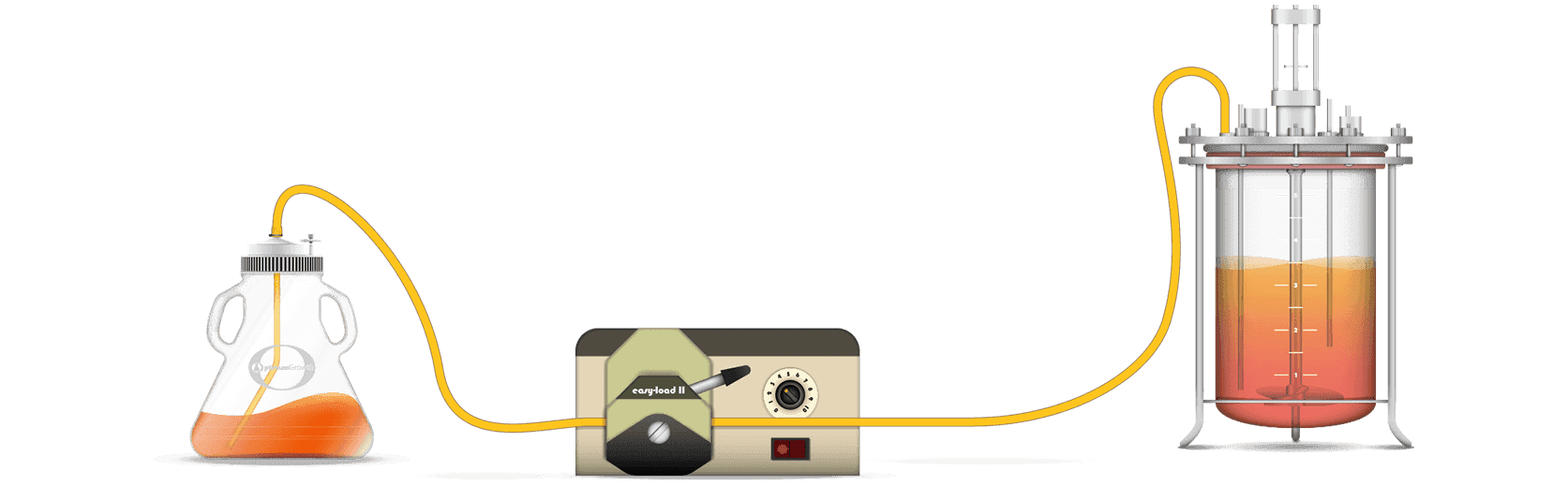 bidirectional illustration