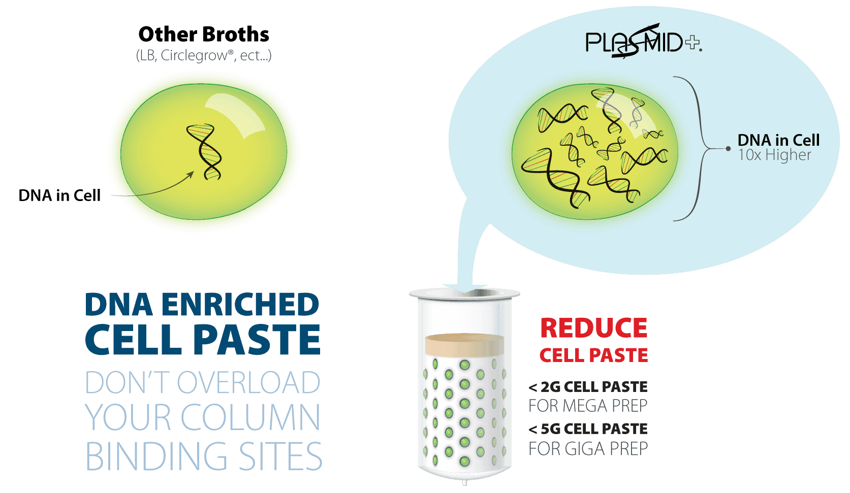 cell paste