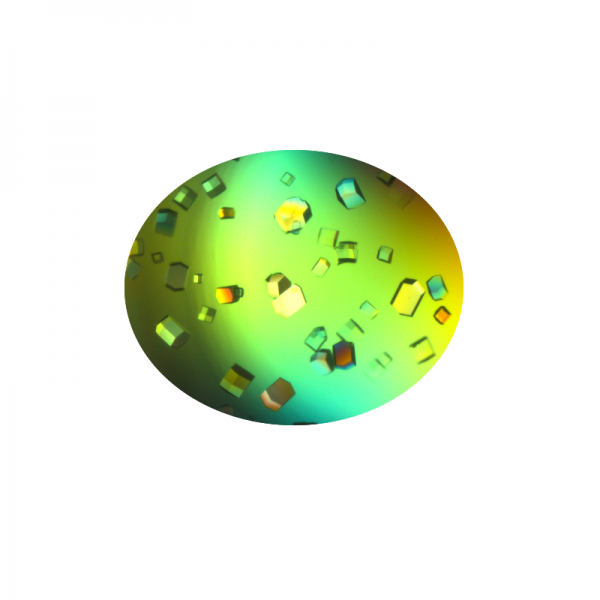 Crystallization Screen for Protein-DNA Complexes