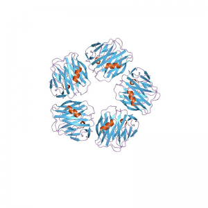 SAA Human Serum Amyloid A1 Recombinant