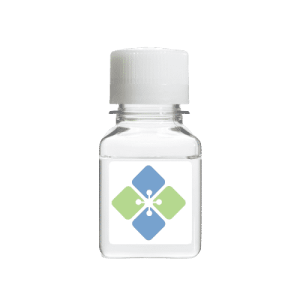 CEA Protein Human (Highly Pure)