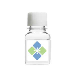 Benzoyl-L-tyrosine ethyl ester