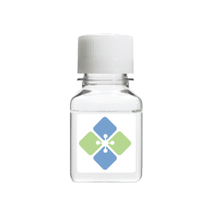 Benzoyl-L-tyrosine p-nitroanilide