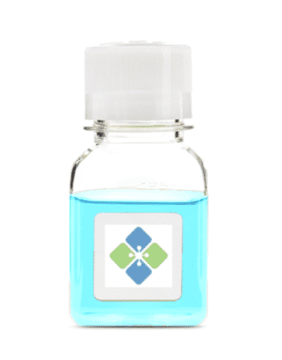 Glutathione Agarose Resin