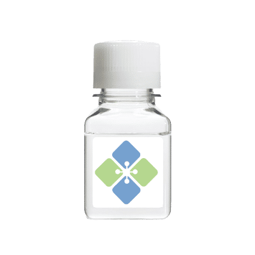 Magnesium Chloride (MgCl2) Solution 25 mM