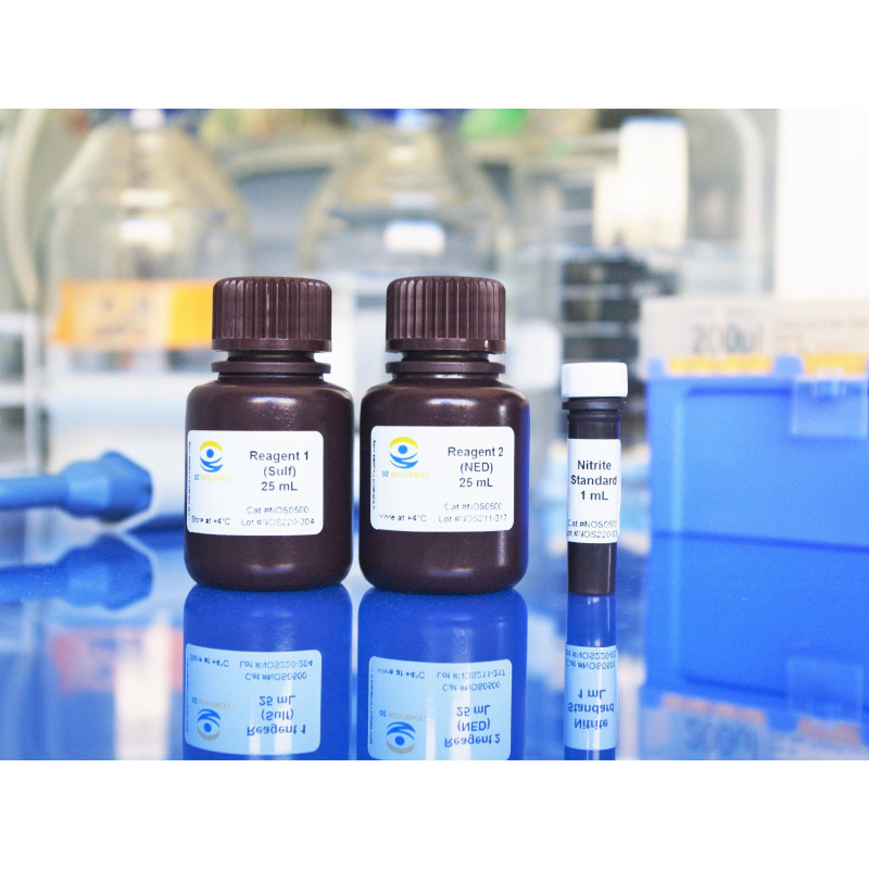 nitric oxide assay kit