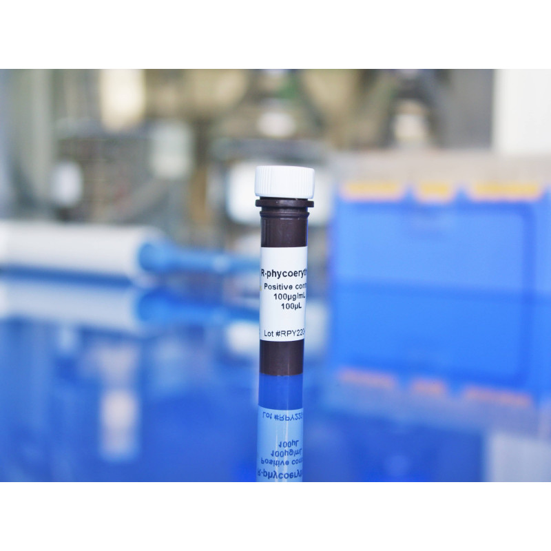 R-Phycoerythrin
