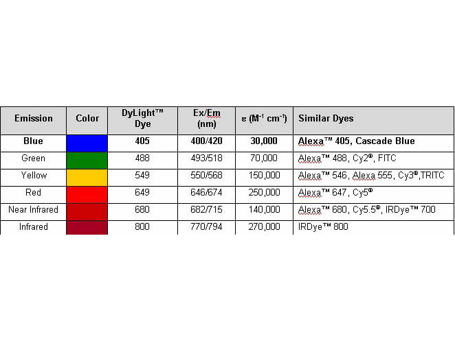 Rat IgG (H&L) Antibody Dylight™ 680 Conjugated