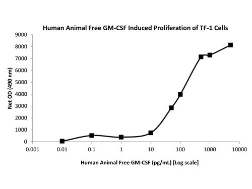 SDS-PAGE of Human Granulocyte Macrophage Colony Stimulating Factor Recombinant Protein (Animal Free)