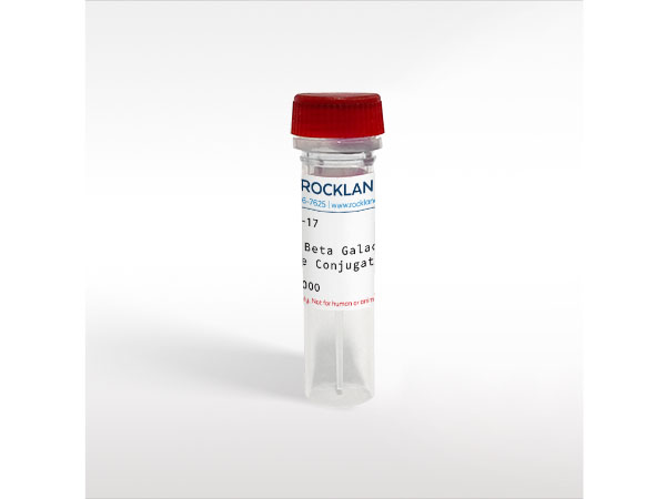 Biotin Beta Galactosidase Conjugated