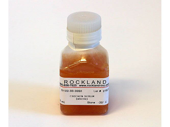 Chicken Serum Sterile Bottle