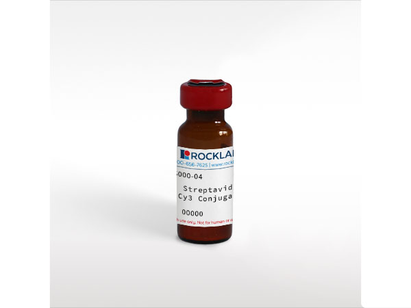 Streptavidin Cy3 Conjugated