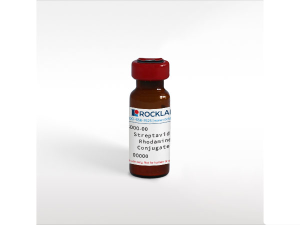 Streptavidin Rhodamine Conjugated