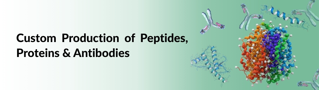 Custom Production of Peptides, Proteins & Antibodies