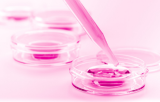 Serum Free and chemically defined media