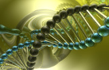 ADN genómico (extrato de tecidos e células)