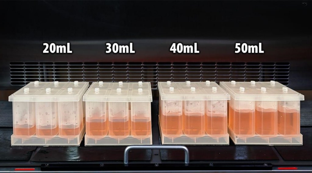 6-well_fill_lineup