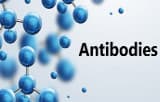 Resinas de afinidade para anticorpos