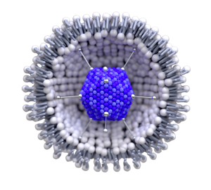 Controlled Release Study of Retinol and Hyaluronic Acid from Multilamellar Vesicles