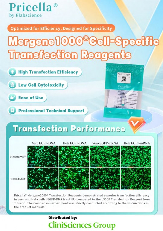 /upload/dna-mrna-transfection-reagent-fly-vkfd6a.jpg