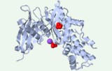 Ensaio de atividade da hexoquinase