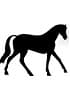 Kits ELISA para cavalos (equinos)