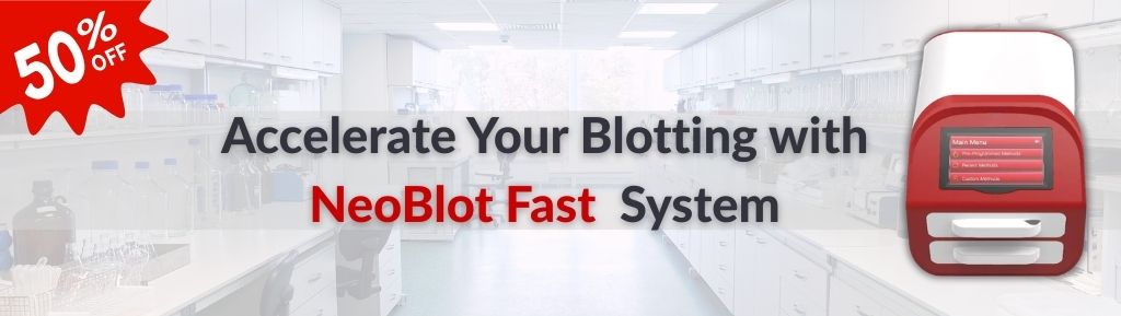 Limited Offer: 50% Off NeoBlot Fast System – Accelerate Your Protein Transfer!