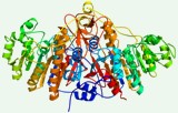 Ensaio de atividade da fosfatase alcalina