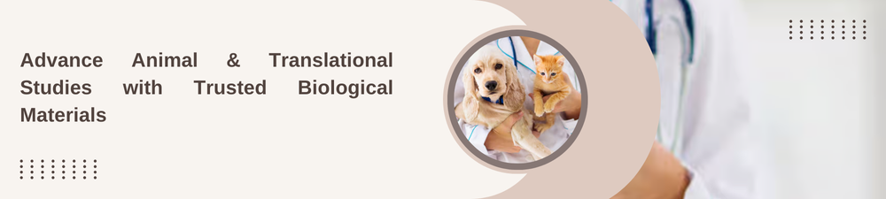 Lipid Nanoparticles Banner