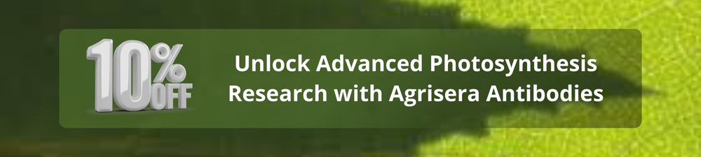 Lipid Nanoparticles Banner