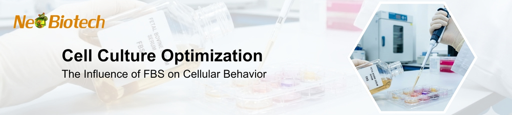 Lipid Nanoparticles Banner