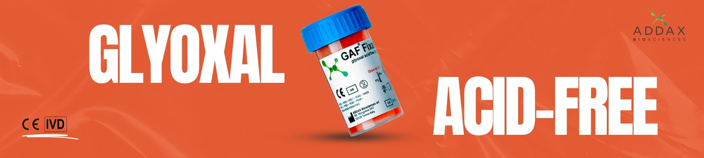 Lipid Nanoparticles Banner