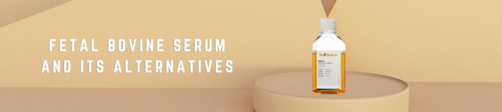Banner de Nanopartículas Lipídicas
