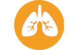 Sondas de hibridação in situ - Patologia pulmonar