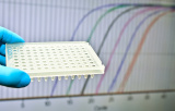PCR quantitativa em tempo real para diagnóstico