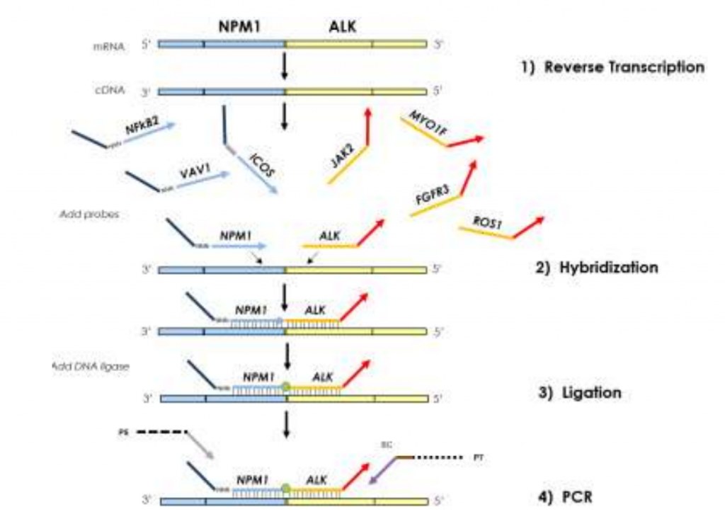 GENEXPATH SarcomaFusion