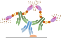 Protocolo de imunohistoquímica - Método Avidina/Biotina (ABC)