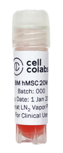  Mesenchymal stem cells