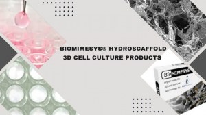 Revolucione a sua cultura celular com o Hydroscaffold 3D da Biomimesys