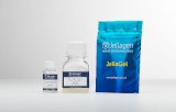 Hydrogel for 3D culture based on jellyfish collagen