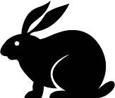 Rabbit Anti-dsRNA [9D5] MonoclonalAntibody