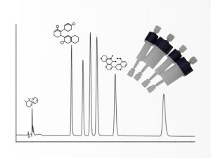 Da amostra ao sinal: ferramentas essenciais para o sucesso da cromatografia