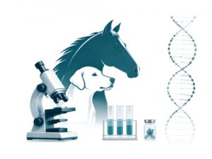 Ampla seleção de amostras biológicas de animais e soluções personalizadas de fornecimento de amostras biológicas