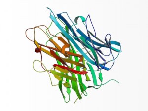 O papel multifacetado do TNF-alfa no cancro
