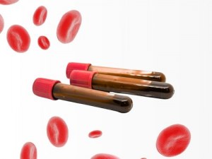 Do sangue total às PBMCs: o seu portfólio completo de amostras derivadas do sangue